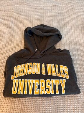 Johnson & Wales University Champion Hoodie XS Gray JWU College Sweatshirt